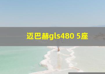 迈巴赫gls480 5座